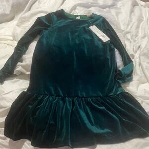 Peek S 4-5 green velour velvet dress NWT